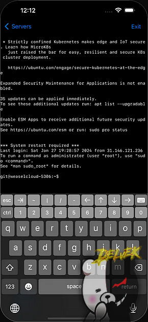 Terminal screenshot 1