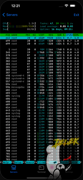 Terminal screenshot 3