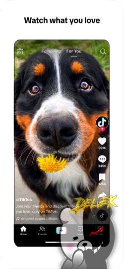 TikTok (LRD) screenshot 3