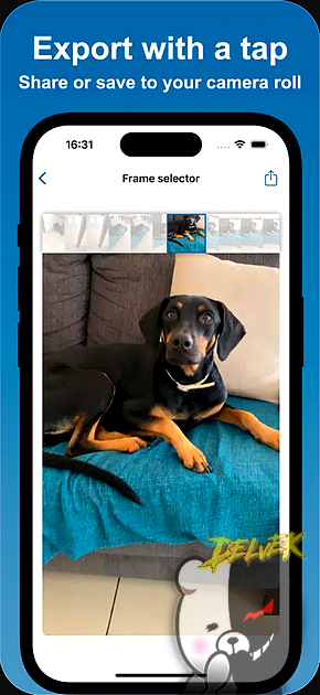 Video to Photo - High Quality screenshot 3