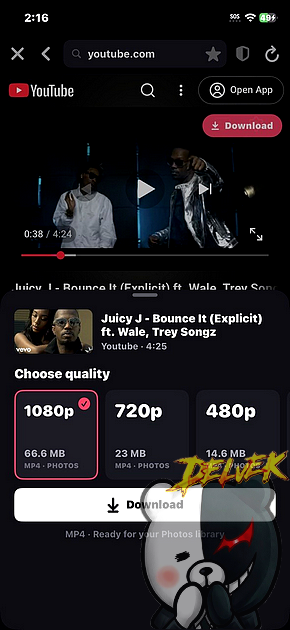 VidGrab iPhone screenshot 2