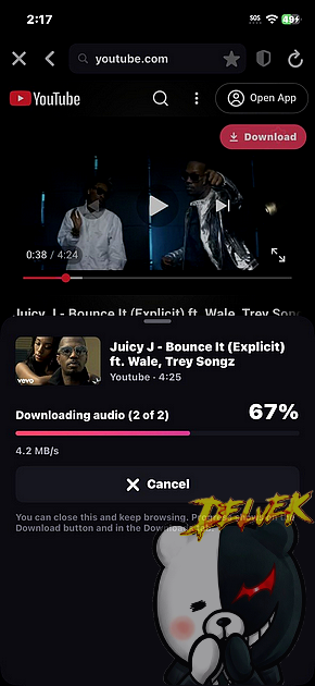 VidGrab iPhone screenshot 3