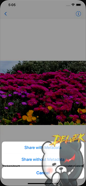 ViewExif iPhone screenshot 4