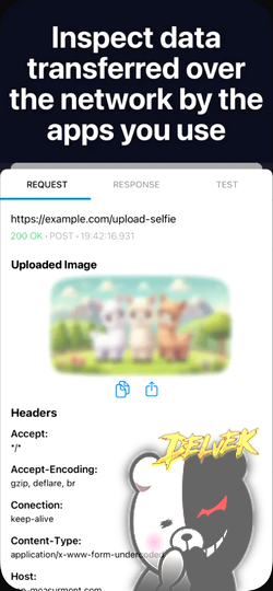 WebProxyTool - Inspect Network screenshot 1