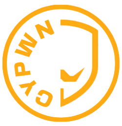 CyPwn Store