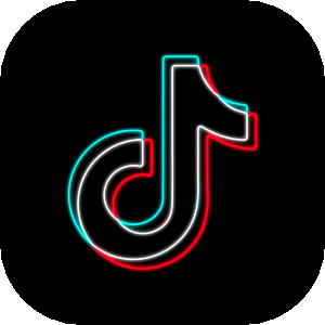 TikTok (VibeTok)