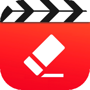 VideoRetouch Object Removal